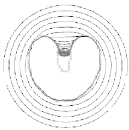 u.gif (75695 bytes)